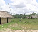 Caura indiánská vesnice