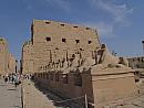 Egypt, duben 2013, Alej posvátných beranů v Karnaku