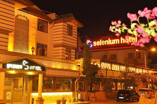 SELENIUM HOTEL (3)
