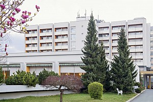 Radin Hotel Sava