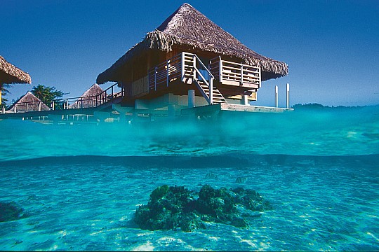 Intercontinental Bora Bora Le Moana Resort (3)