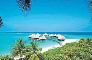 Coco Palm Dhuni Kolhu Maldives Resort