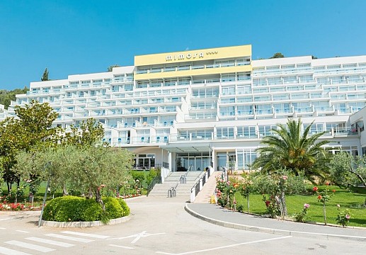 Hotel Mimosa Lido Palace
