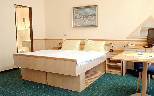 HOTEL SLOVAN - Relaxace a regenerace pro tělo a duši na 3 noci - Karlovy Vary (5)