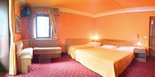 Hotel Alle Alpi (2)
