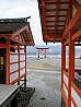 Japonsko – ostrov Mijadžima (Miyajima)