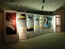 Japonsko – Hirošima – mírový park a muzeum
