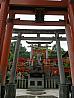 Japonsko – Inari, Fushimi Inari Shrine