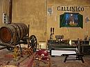 Zakynthos – z výletu po ostrově – vinařství Callinico