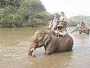 Jízda na slonech