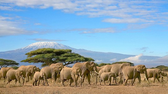 Keňa - Tanzanie - to nejlepší z východní Afriky