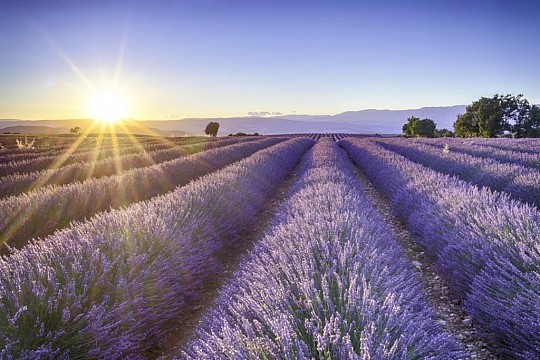 Nejkrásnější místa Provence