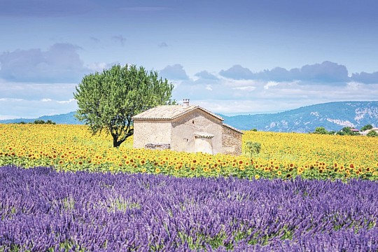 Báječná Provence (3)