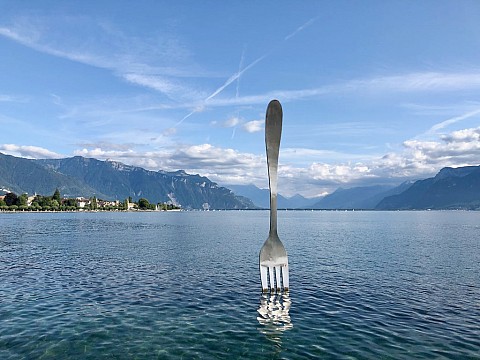 Mont Blanc a Ženevské jezero