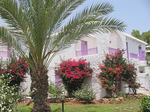 Merit Cyprus Garden (4)