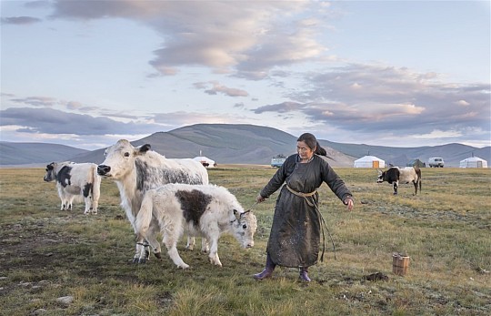 Mongolsko zemědělské