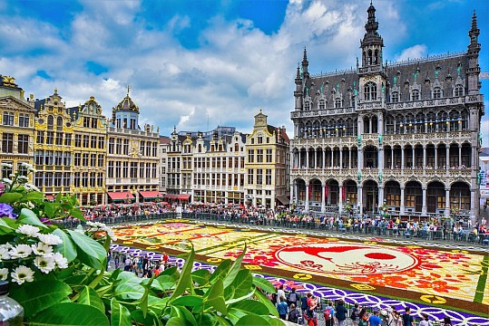 Belgie - Květinový koberec na náměstí