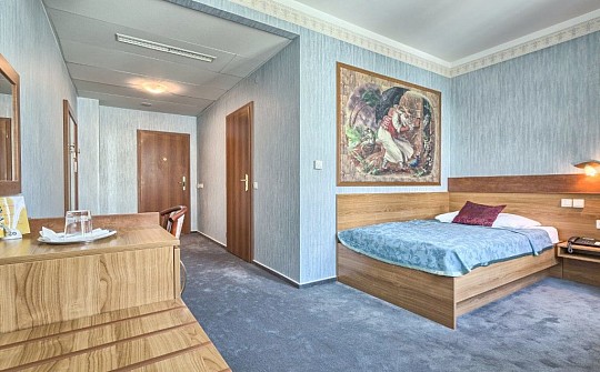 WELLNESS HOTEL BABYLON - Rekreační pobyt - Liberec (5)