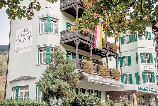 Hotel Dependance Grüner Baum (4)