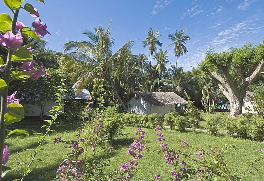 Le Jardin Maoré  - Hotel Swalibo