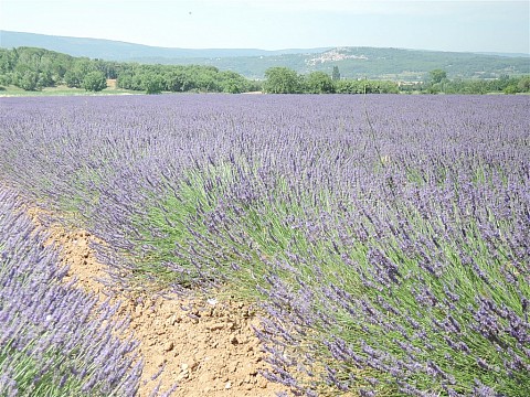 Provence a krásy Azurového pobřeží 2022 (4)