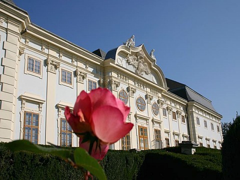 Hotel Knappenstöckl, Schloss Halbturn (4)