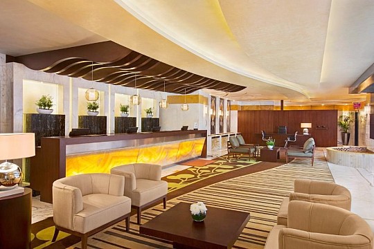 DoubleTree by Hilton Hotel & Residences Dubai Al Barsha (3)