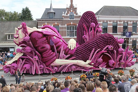 Festival květů a slavnost přístavů v Holandsku (2)