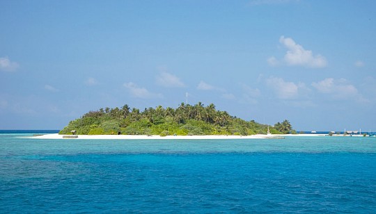 Makunudu Island Maldives (3)