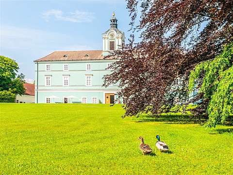 Zámok Dačice, hrad Landštejn, mesto Slavonice a karmelitánsky kostol Kostelní Vydří