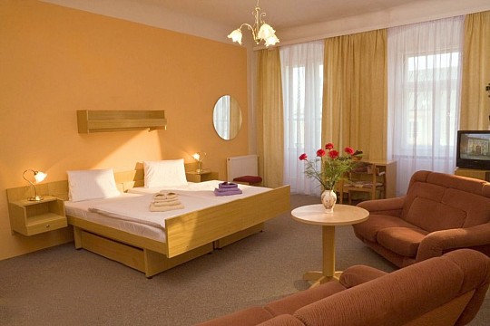 GOETHE SPA & MEDICAL HOTEL - Rekreační pobyt - Františkovy Lázně (2)