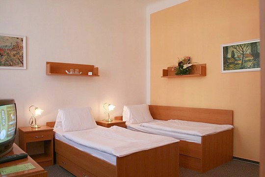 GOETHE SPA & MEDICAL HOTEL - Rekreační pobyt - Františkovy Lázně (3)