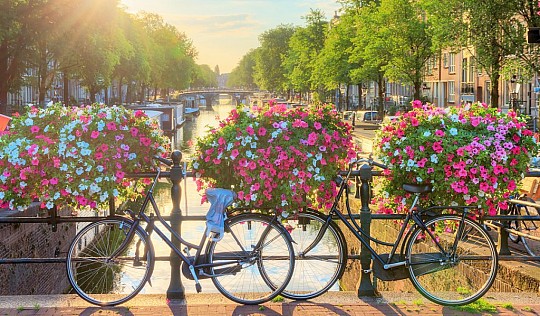 5-dňový zájazd do Holandska s návštevou kvetinovej výstavy (5)