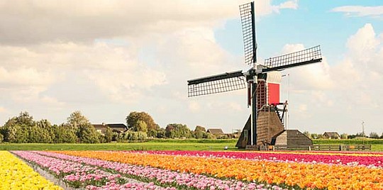 5-dňový zájazd do Holandska s návštevou kvetinovej výstavy (3)