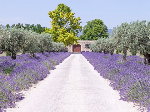 Provence – po stopách Dobrého ročníku