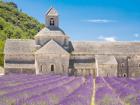 Levandulová Provence