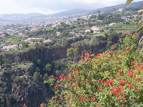 Madeira a Azorské ostrovy (3)