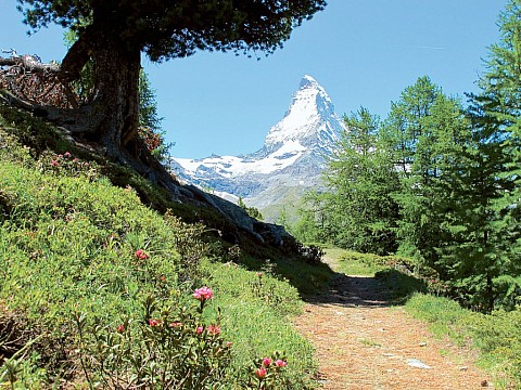 Švýcarsko, alpský okruh II (4)