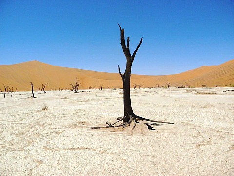 Namibie - vzpomínky na Afriku