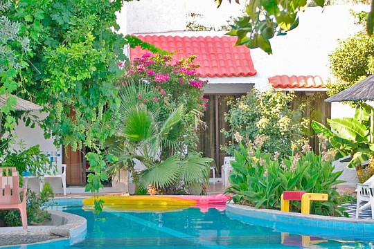 OASIS HOTEL & BUNGALOWS (3)
