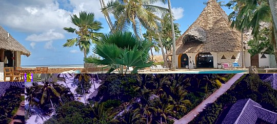 Melia Zanzibar