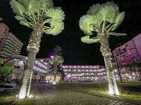 Hotel Flamingo Beach (ex. Avliga Beach) (4)