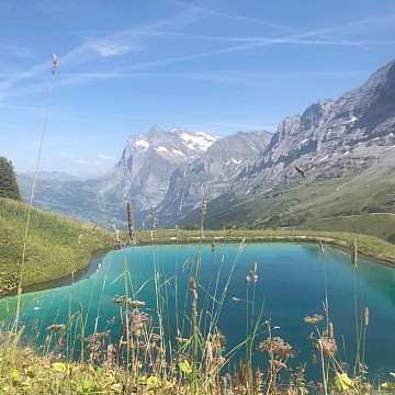 Švýcarské a Francouzské Alpy (4)