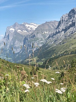 Švýcarské a Francouzské Alpy (5)