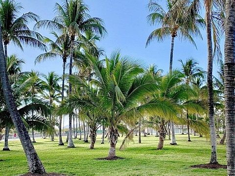 Florida - Miami tropický ráj s příchutí Karibiku (3)