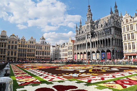 Belgie a Lucembursko s květinovým kobercem