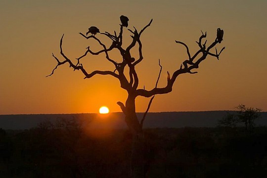 Kapské Město a safari v Krugerově parku s českým průvodcem (3)