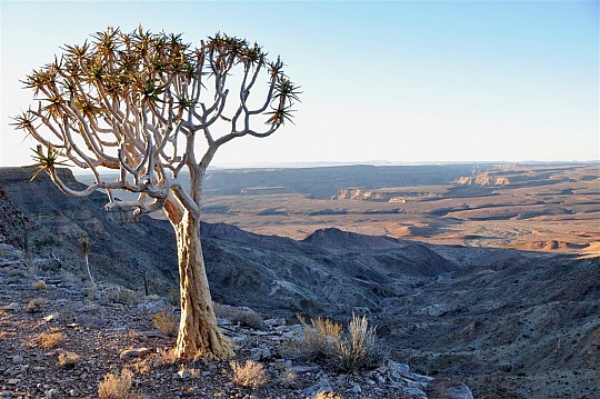 Na skok do Namibie - dechberoucí kaňony a pouště (2)