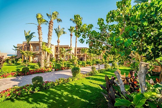 ananea Hurghada (5)