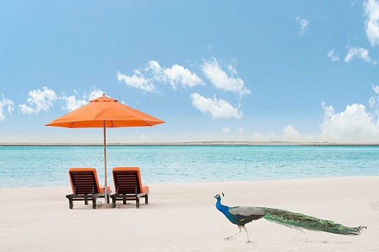 JA BEACH HOTEL (2)